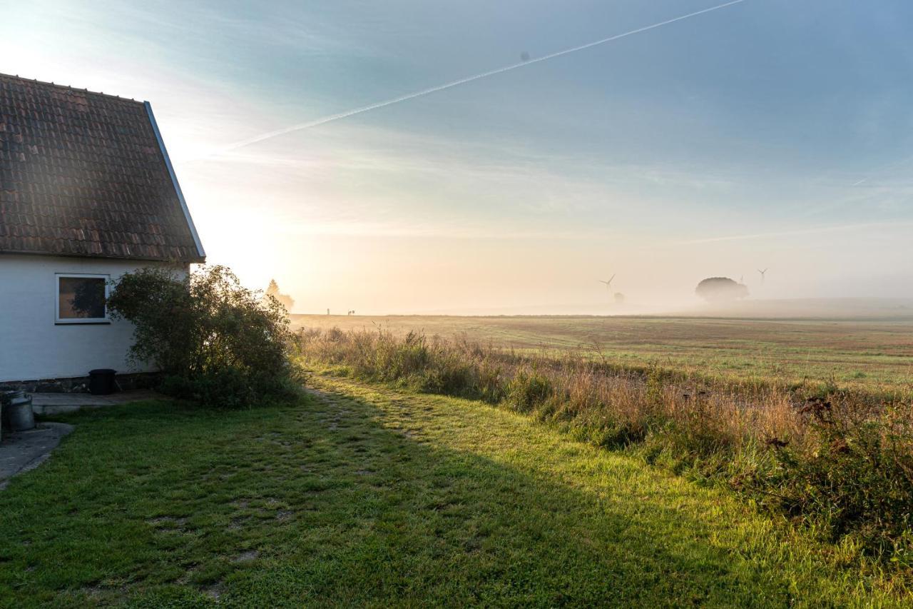 Red Bird Farm Bed and Breakfast Ystad Esterno foto